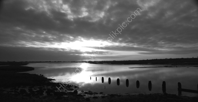 Peace at Pagham