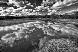 Winter refelections