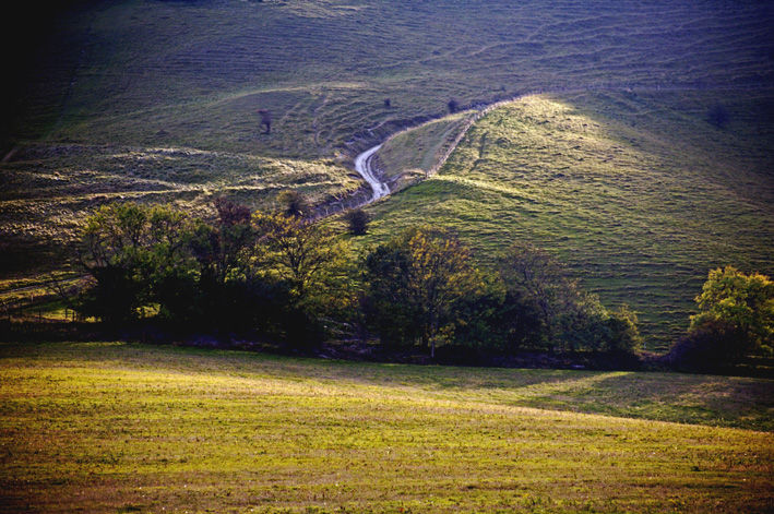Path up to the Downs