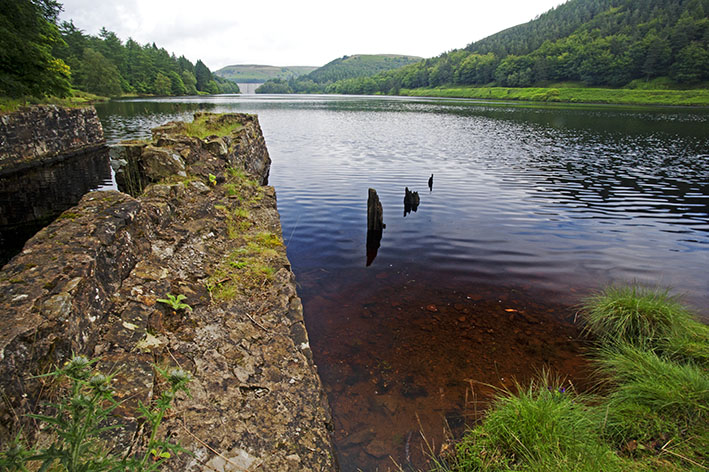 Tranquil Derwent