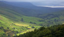In the Peaks