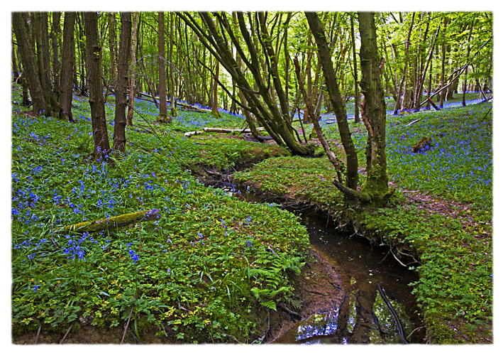 Secret Sussex (iii)