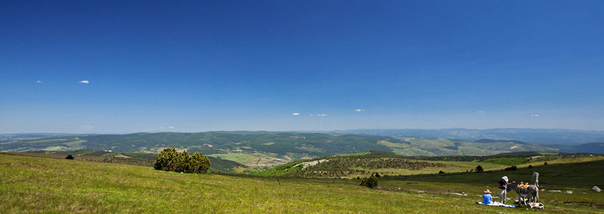 Not a bad spot for a picnic?