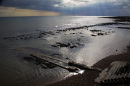 Low tide