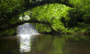 Secret Sussex (i)