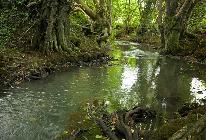 Secret Sussex (ii)