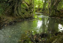 Secret Sussex (ii)