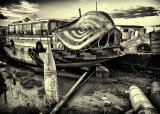 Dali Houseboat?