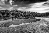 Pool & reflections, low tide