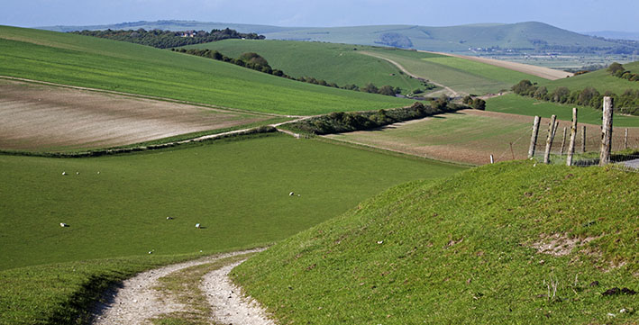 Down the valley