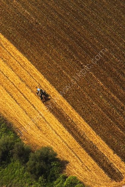 Working the soil (1)