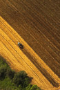 Working the soil (1)