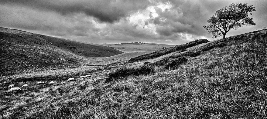 Lonely Valley (i)