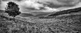 Lonely Valley (ii)