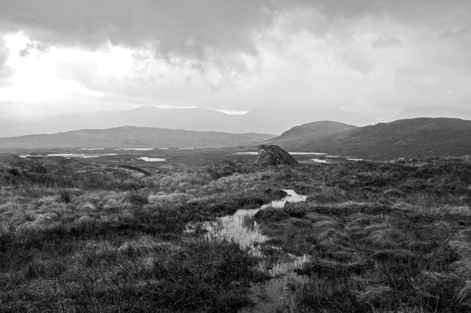 A watery wilderness