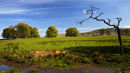 Along the West Highland Way