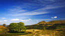 Along the West Highland Way (ii)