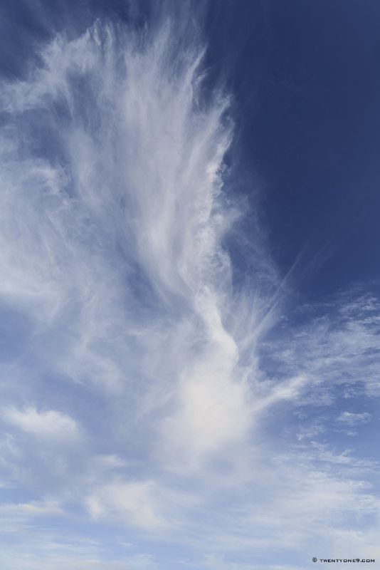 Lazy and Wispy