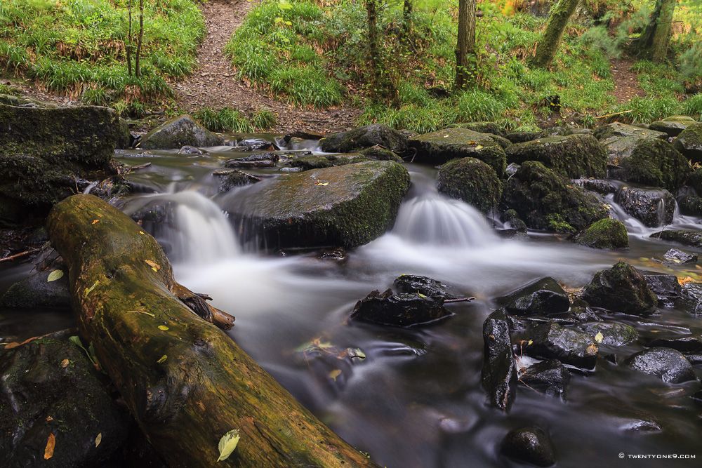 River Teign