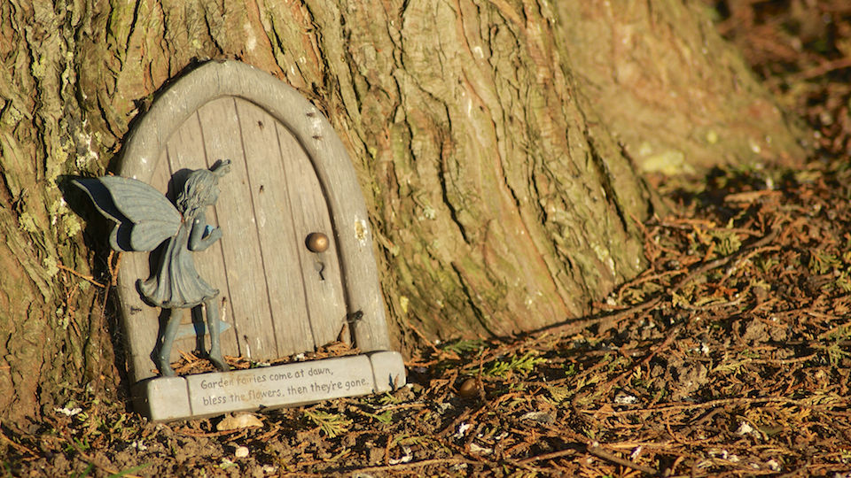 Magic Door
