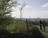 Wittenham Clumps, Oxfordshire looking W.