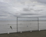Victoria Pier, Kingston upon Hull looking SE.