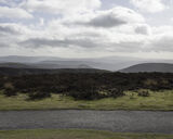Pole Bank, The Long Mynd, Shropshire (SO 41519 94426) looking SE.
