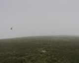 Skiordar, Foula, Shetland (HT 96117 40724) looking NE.
