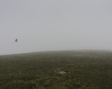 Skiordar, Foula, Shetland (HT 96117 40724) looking NE.