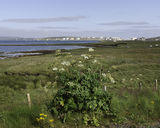 Scatsta, Sullom Voe, Shetland (HU 39827 72890) looking N.