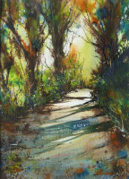 Path on Whitcliffe II Acrylic