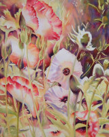 Poppies Contre Jour S