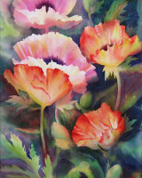 Poppies Orange & Pink S