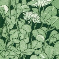 Clover. Etching