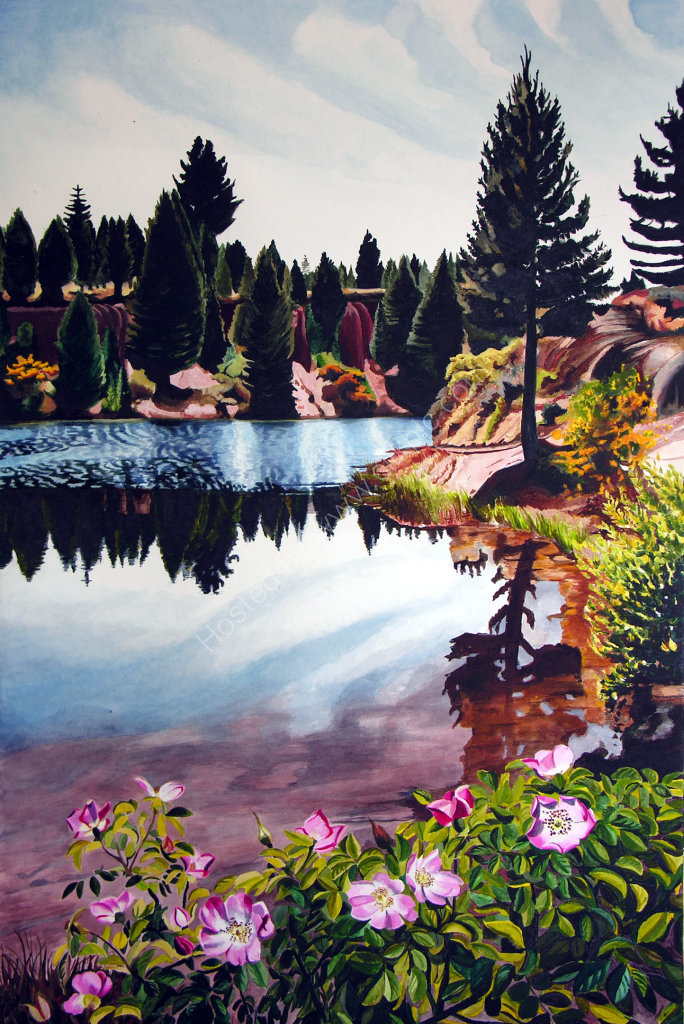 Coal Pit Dam