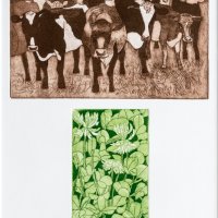 Daisy n' Clover. Etchings.