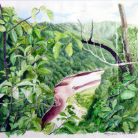 The Heaphy River. Painting on paper.