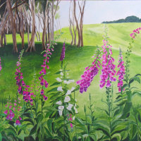 Foxgloves, The Glen, Otago. Painting on canvas.