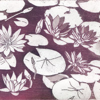 Waterlily. Etching.