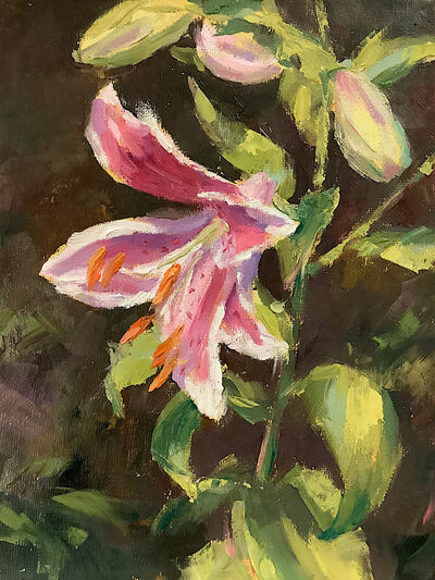 Oil painting stargazer liky