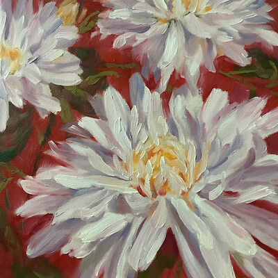 Oil painting Shasta Leucanthemum daisies on red background