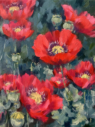 Oil painting red poppies