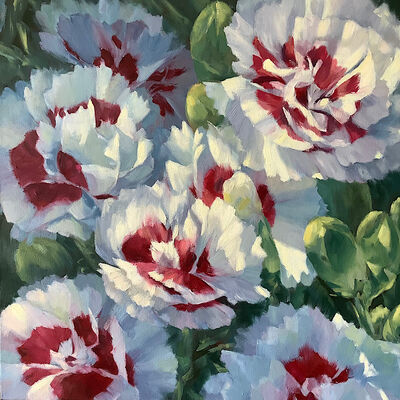 Coconut sundae carnation flowers