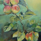 Apples at Festina Lente.  Sold