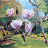 Magnolias at Farmleigh