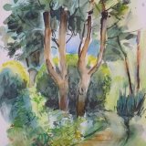 Trees at Marlay Park