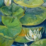 Water Lilies