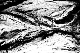 Saatchi Art