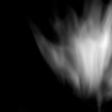 Abstraction 7 - The Lily Within the Flame - The beginning of transformation.