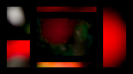 Maya Project